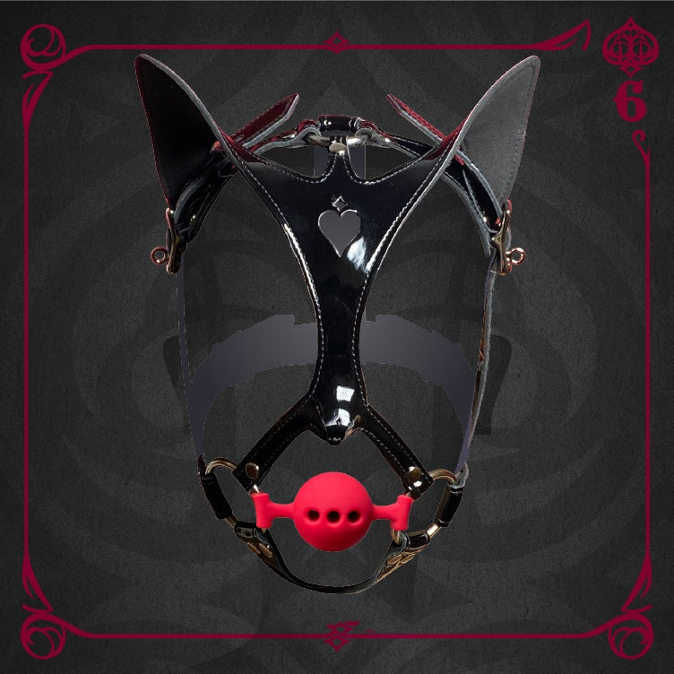Cat Mask Horse Harness Mouth Cup Ball Restraint Supplies