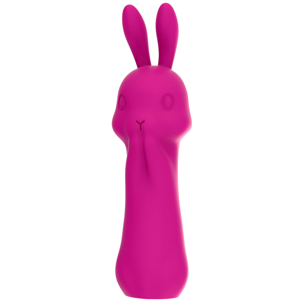 Rabbit Vibrator Massage Device