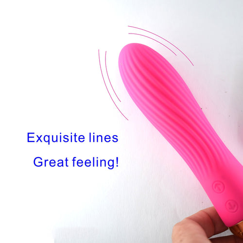 Dual Magnetic Vibrator