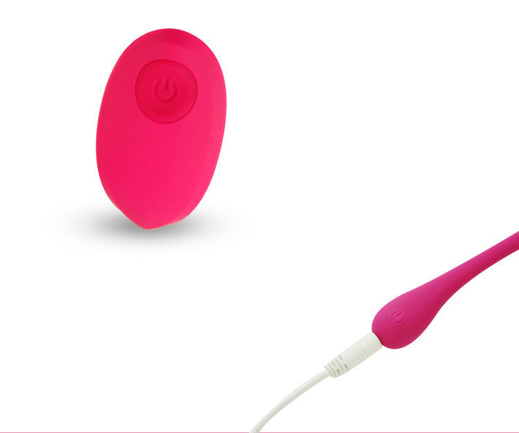 Remote Control Egg Vibrator