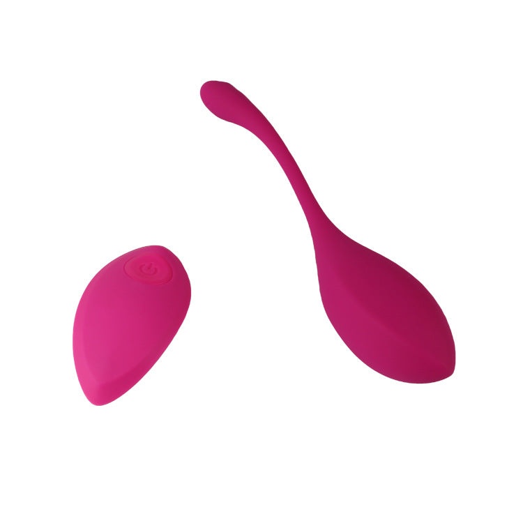 Remote Control Egg Vibrator