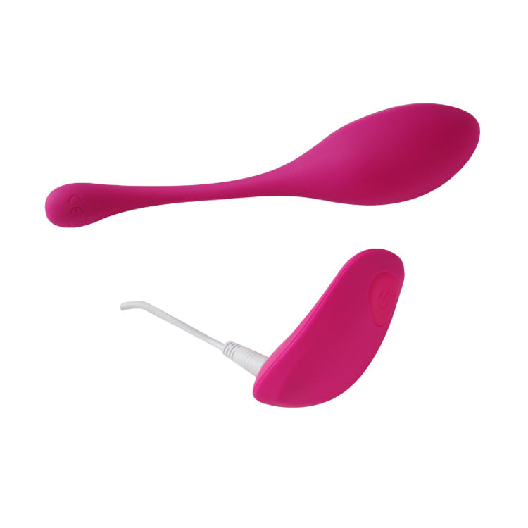 Remote Control Egg Vibrator