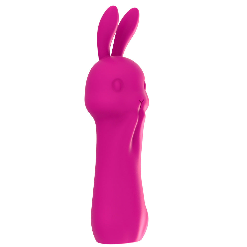 Rabbit Vibrator Massage Device