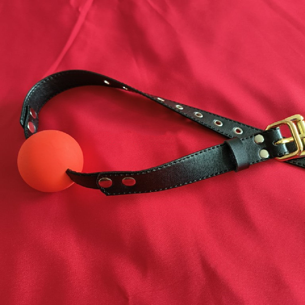 Plug The Mouth And Ball Toy