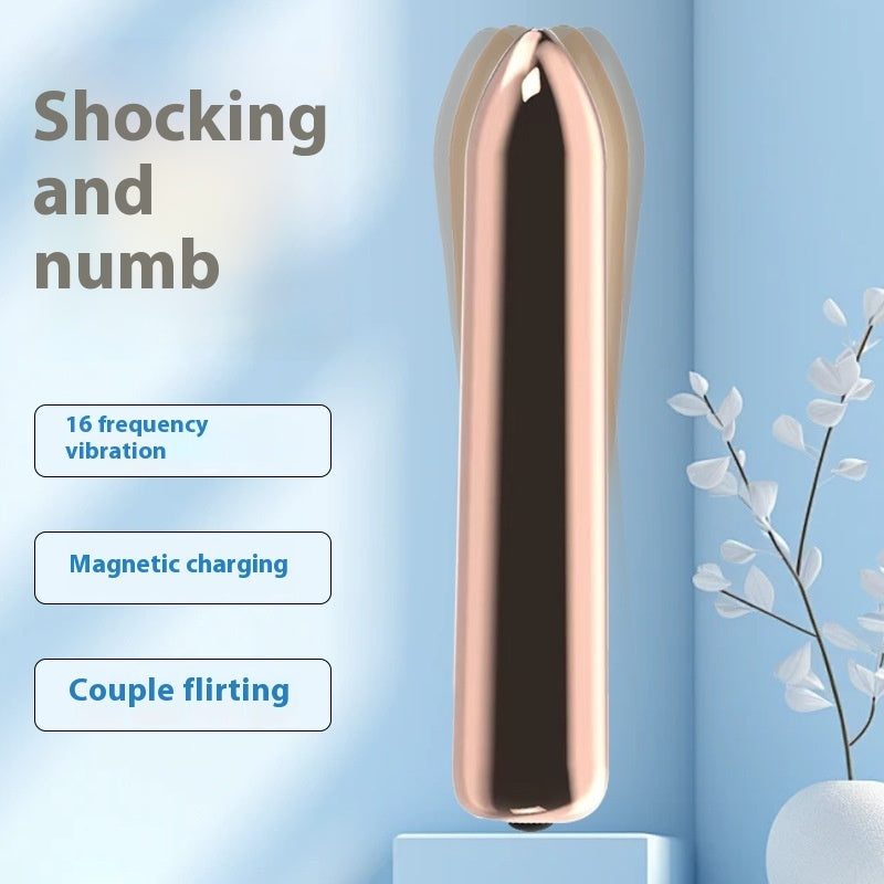Bullet Fashion Vibrator