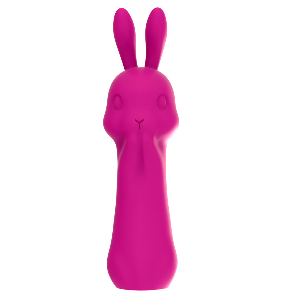 Rabbit Vibrator Massage Device