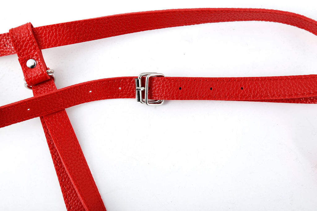 Strap-On Dildo with Leather Harness